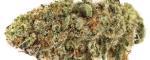 Medible review mendo breath marijuana strain review 1