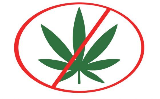 Once weed-friendly California county bans marijuana