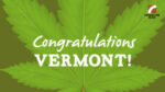 Medible review vermont legalizes cannabis