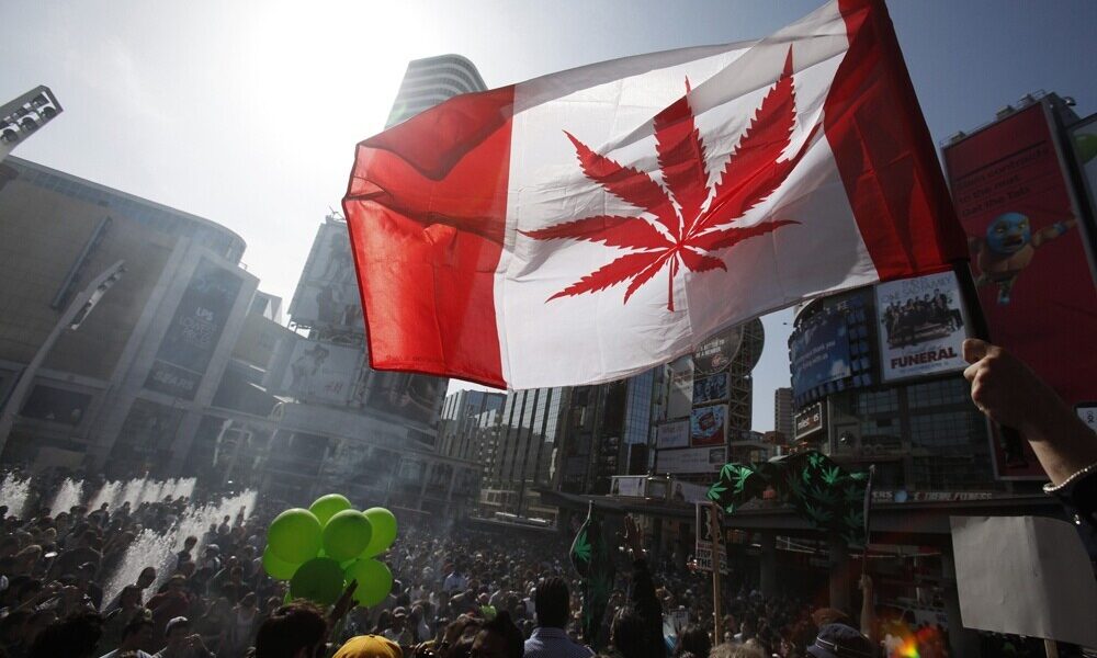 Medible review canada experiencing delays in recreational marijuana rollout