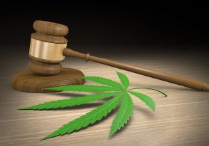 Medible review cannabis legalization lawsuit gets key hearing wednesday