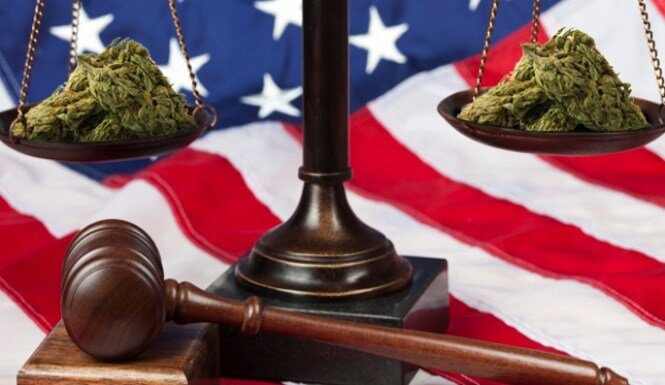 Medible review federal judge hears legal arguments in lawsuit challenging marijuanas schedule i status