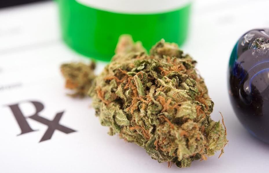 Medible review medical students arent being taught about medical marijuana