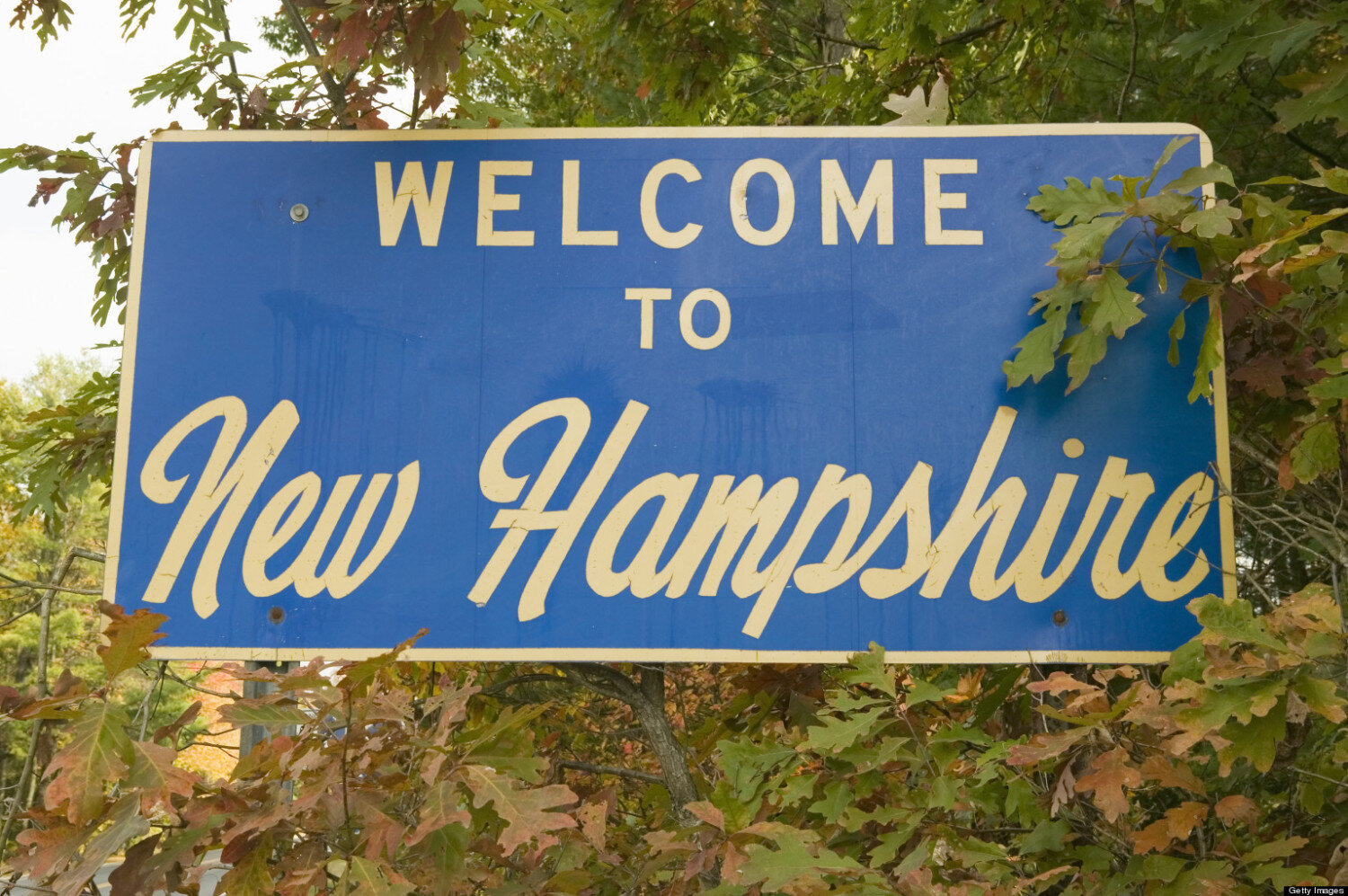 Medible review new hampshire medical marijuana continues to grow significantly