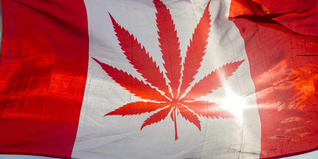 Medible review statscanada survey finds canadians pay an average of under 7 per gram of cannabis