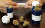 Medible review study trauma patients report marijuana helps reduce opioid use
