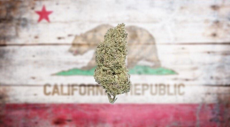 Medible review tribes cut out of california pot market might grow their own