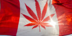 Medible review who stands to cash in on canadas legal marijuana