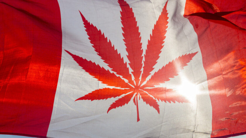 Medible review who stands to cash in on canadas legal marijuana