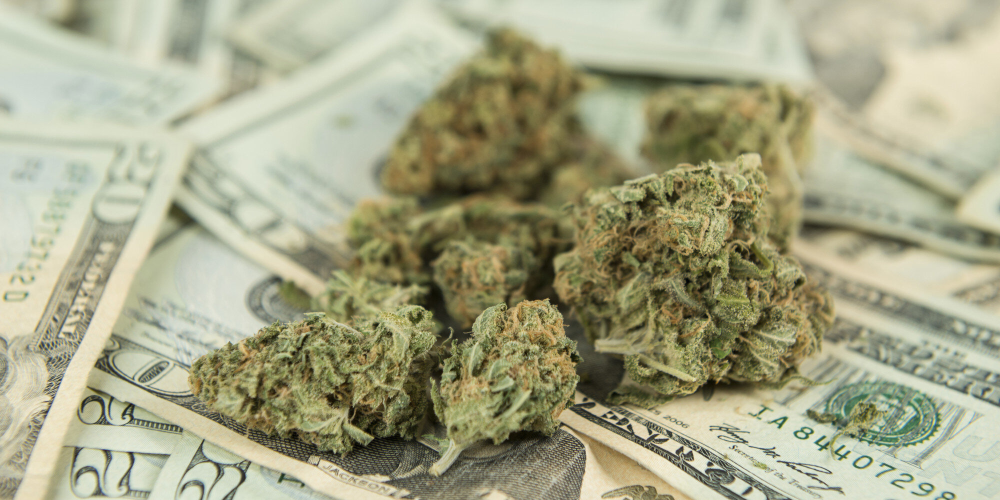 Medible review could regulation be the downfall of californias legal marijuana industry