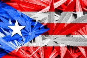 Medible review puerto rico medical marijuana market growing