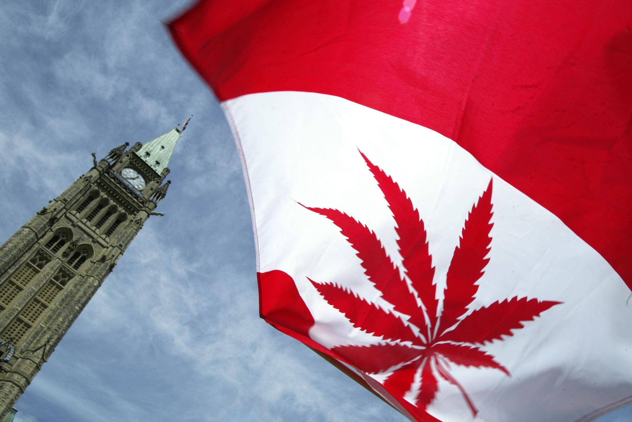 Medible review start of canadas legal marijuana retail sales has been delayed