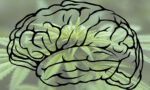 Medible review study can marijuana help regrow human brain cells