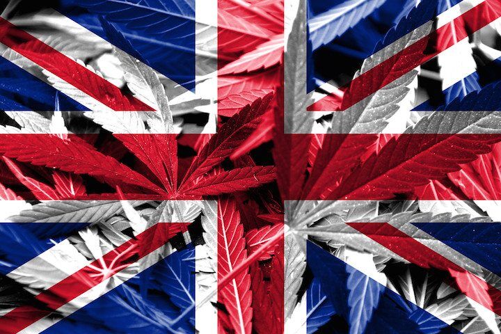 Medible review un finds that britain was the largest legal cannabis producer in 2016