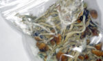 Medible review microdosing marijuana and mushrooms to combat seasonal affective disorder