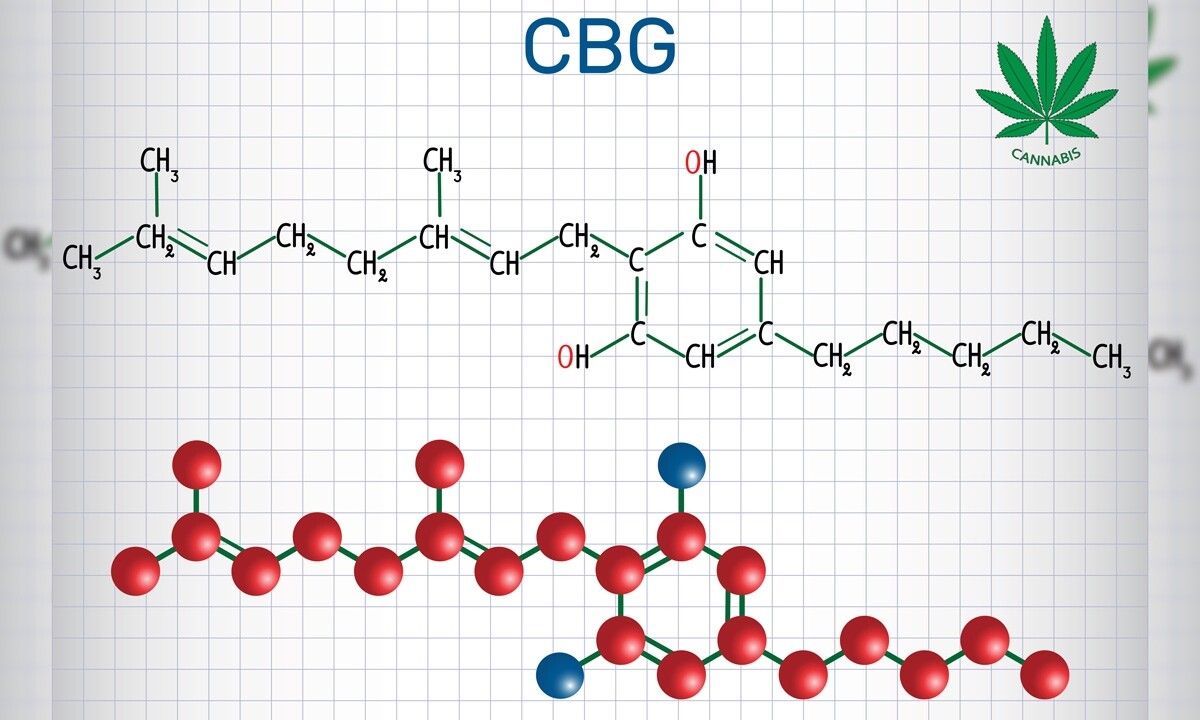 Medible review what you need to know about the healing benefits of marijuanas cbg