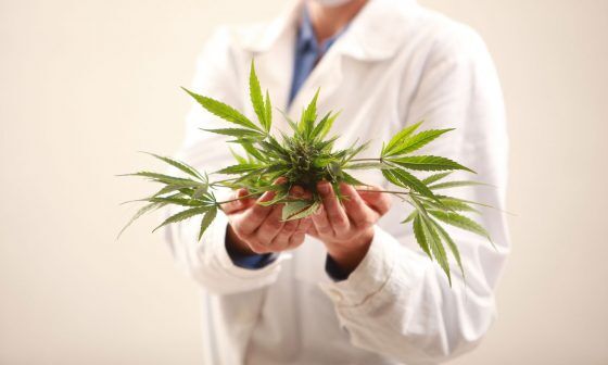 Medible review 5 ways medical marijuana can help you deal with chronic pain