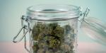 qwiso water cure weed
