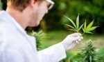Medible review why is the dea flipping the middle finger at marijuana researchers