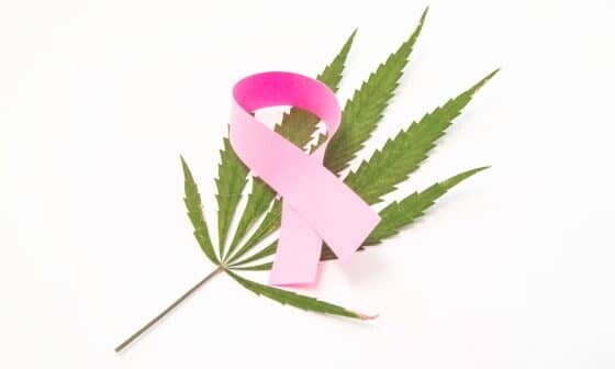 Medible review cannabis during breast cancer treatment what are the benefits