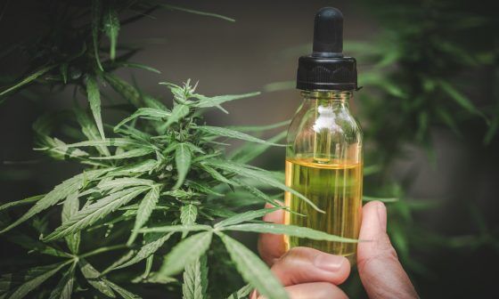 Medible review 5 things doctors know about cbd