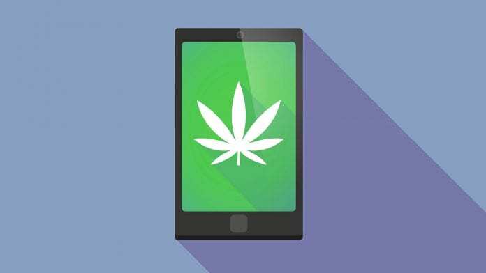 Medible review patient safety public cannabis education hotline launched