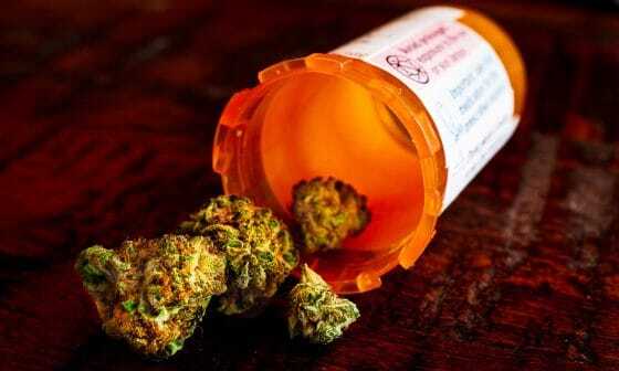 Medible review new study reinforces marijuanas power to treat ptsd