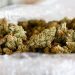 Medible review how much cannabis each state sold in first month of legal sales