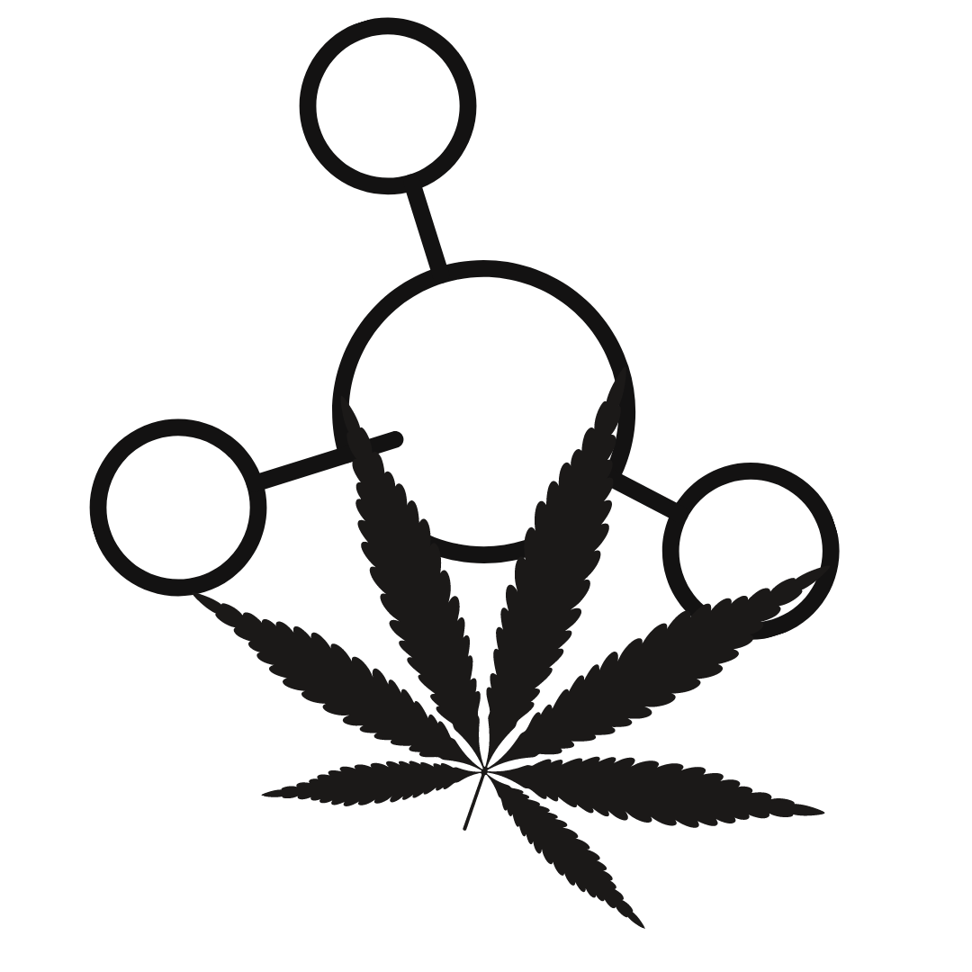 Medible review cannabis molecule