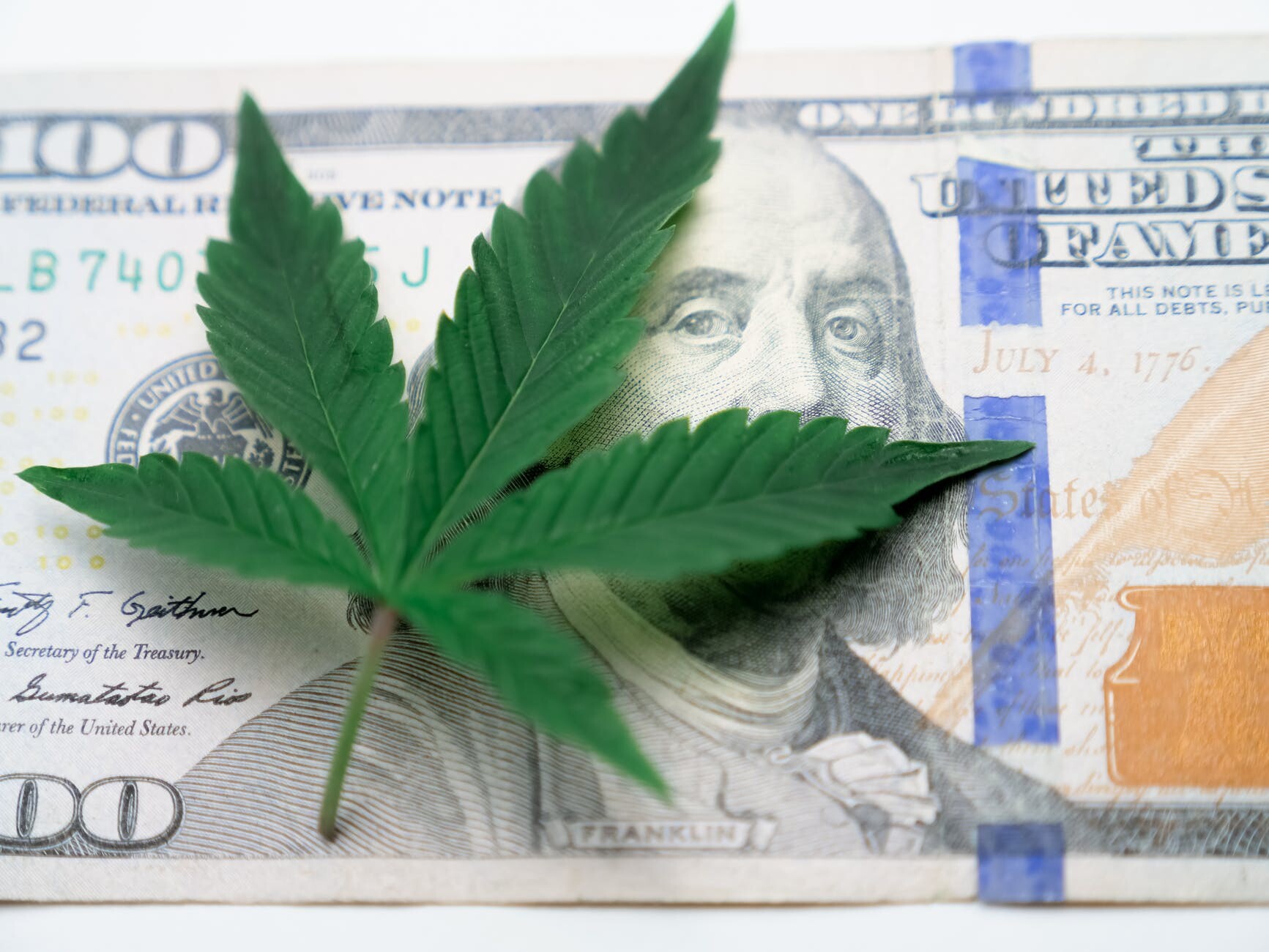 photo of cannabis on top of one hundred dollar bill