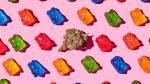 sugar free cannabis edibles