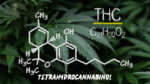Medible review THC