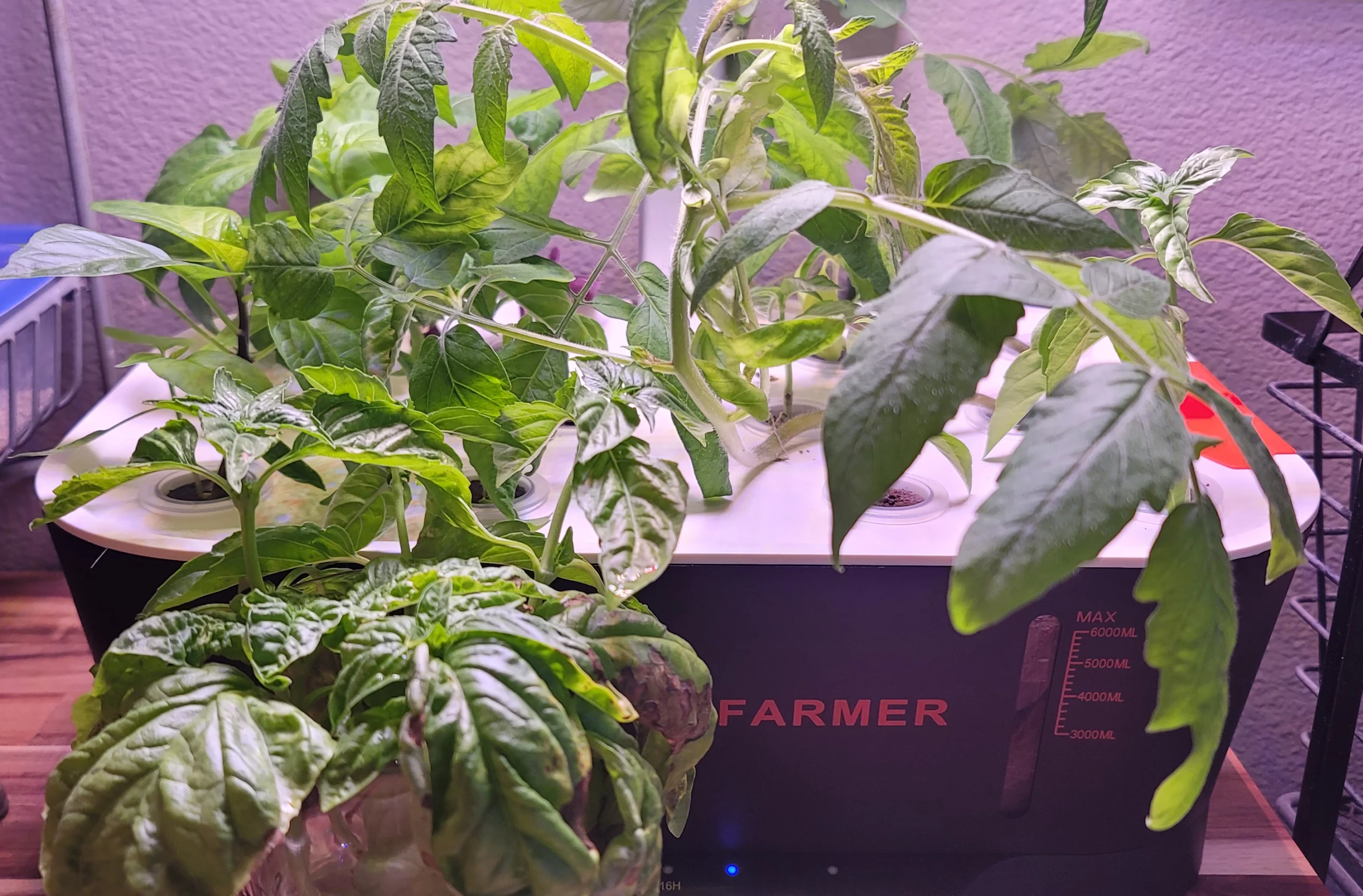 Spider Farmer Smart G12 Indoor Hydroponic Grow System with plants